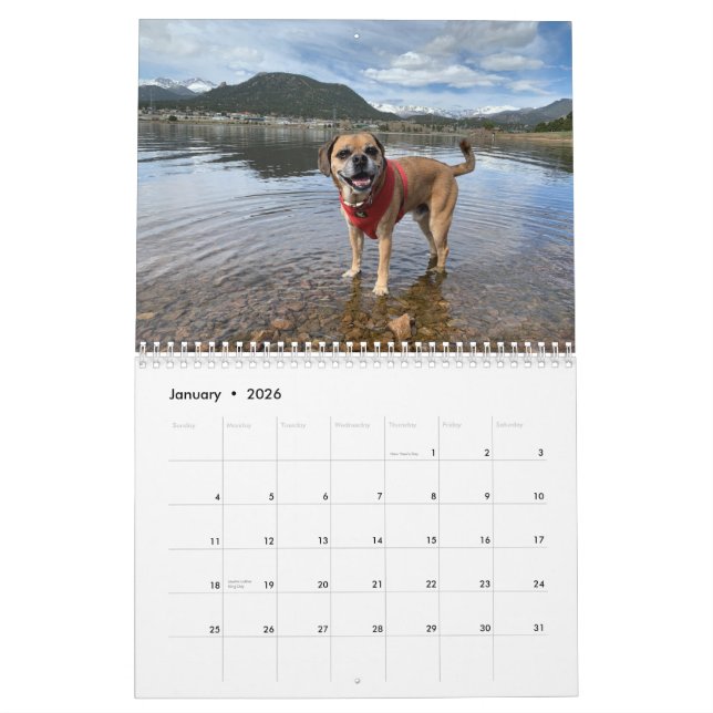 Calendário de Puggle 2022 (Jan 2026)