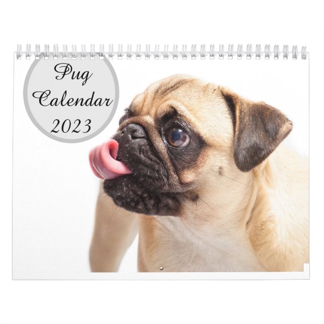 Calendário de Pugs 2023 (Capa)