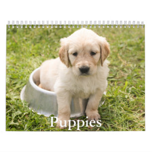 Calendário de Puppy