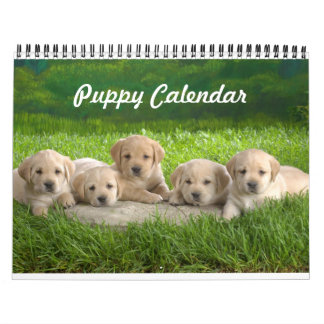 Calendário de Puppy Cute