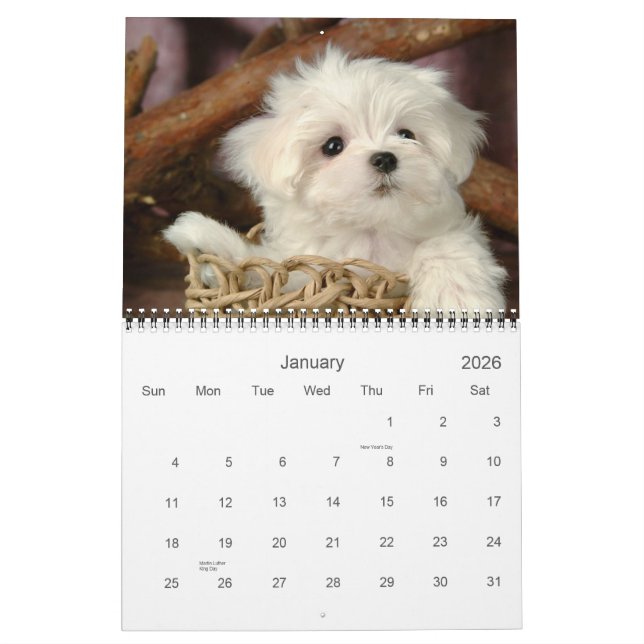 Calendário de Puppy Cute (Jan 2026)