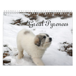 Calendário de Puppy dos Pirenéus do Excelente 2016
