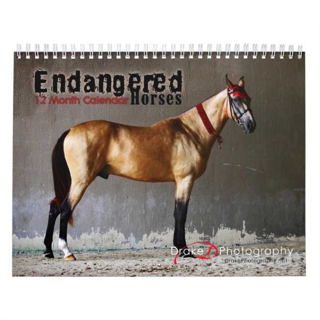 Calendário de Raças de Cavalos Ameaçados (Capa)
