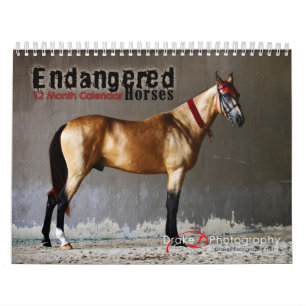 Calendário de Raças de Cavalos Ameaçados