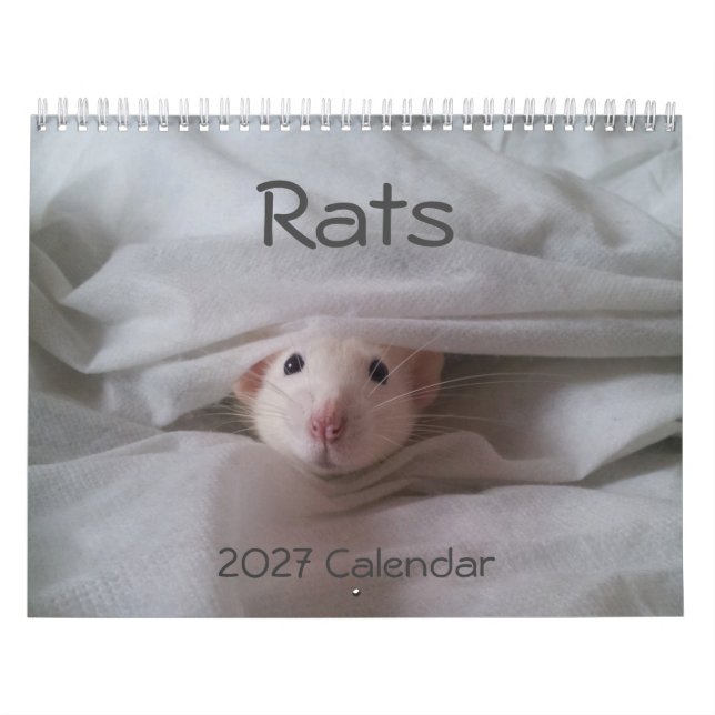 Calendário de Ratos de Estimação 2026 (Capa)