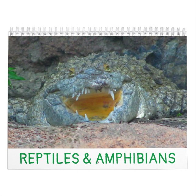 Calendário de Répteis e Anfíbios (Capa)