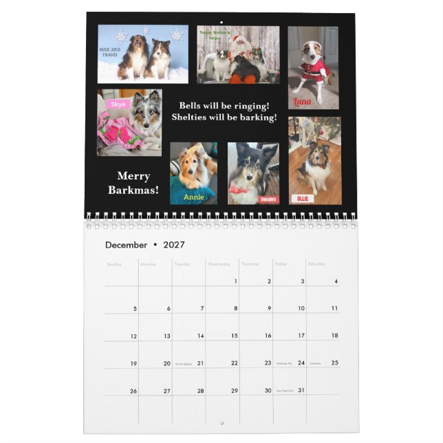 Calendário de Resgate de Sheltie de Minnesota de 2 (Dez 2027)