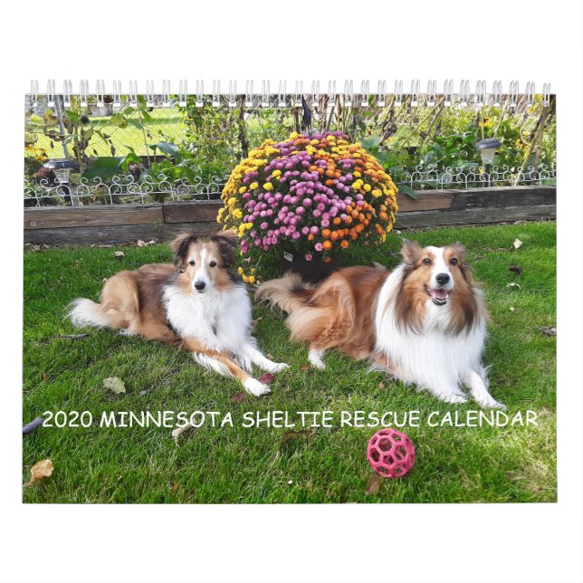 CALENDÁRIO DE RESGATE MINNESOTA SHELTIE 2020 (Capa)