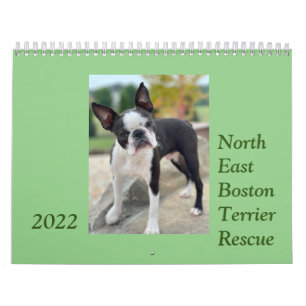 Calendário de Resgate Terrier de Boston 2022 Nord