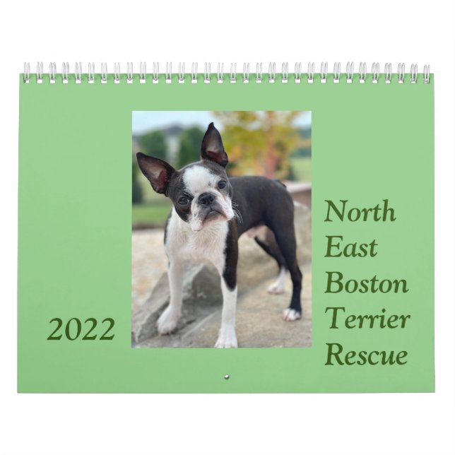 Calendário de Resgate Terrier de Boston 2022 Norde (Capa)