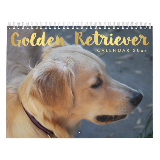 Calendário De Retriever De ouro 2026 Com Fotos (Capa)