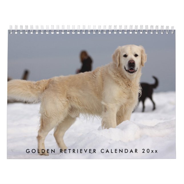 Calendário De Retriever De ouros 2023 Com Suas Fot (Capa)