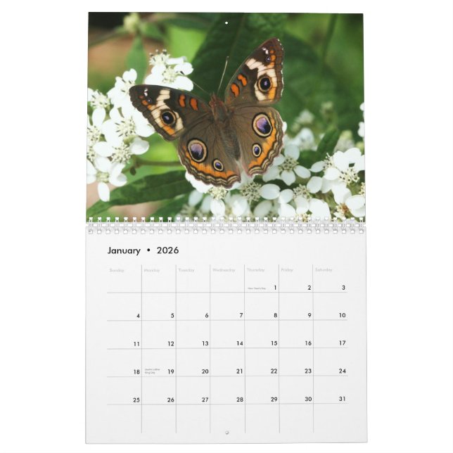 Calendário de Reunião do NABA (Jan 2026)