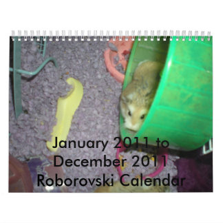 Calendário de Roborovski 2011