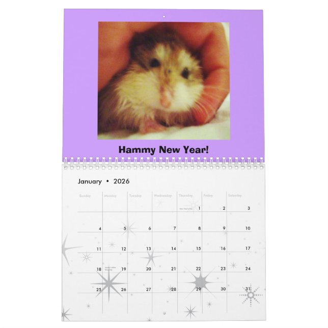 Calendário de Roborovski 2011 (Jan 2026)