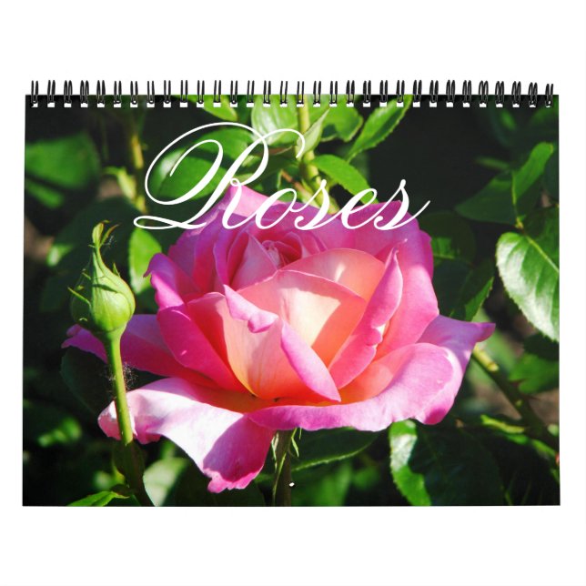 Calendário de Rosas do Jardim Inglês (Capa)