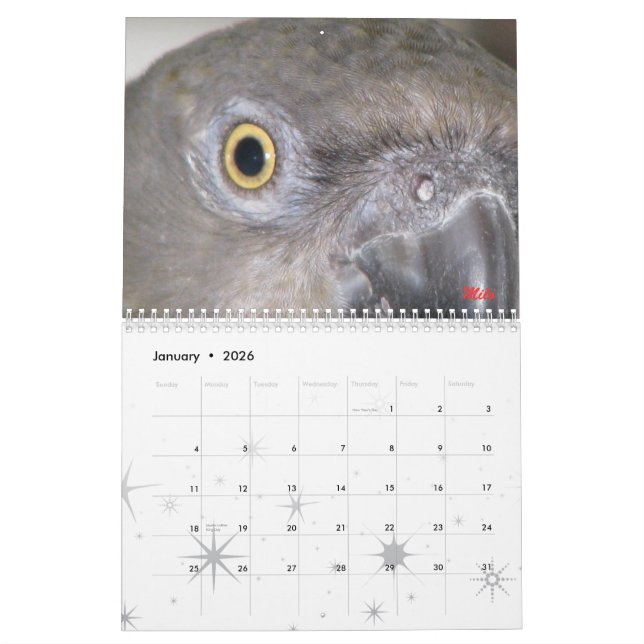 Calendário de Senegals 2009 - personalizado (Jan 2026)