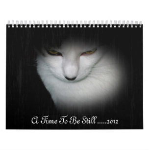 Calendário de Shakira 2012!