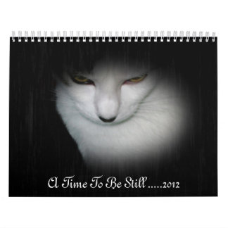 Calendário de Shakira 2012!