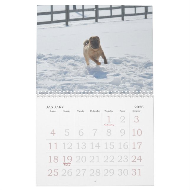 Calendário de Shar-pei do chinês (Jan 2026)