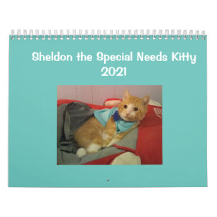 Calendário de Sheldon 2021