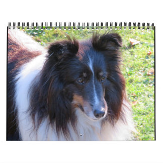 Calendário de Sheltie
