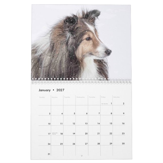 Calendário de Sheltie (Jan 2027)