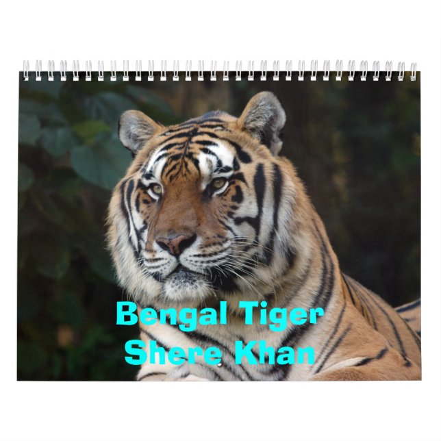 Calendário de Shere-Khan, Bengal TigerShere Khan (Capa)