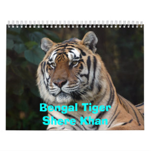 Calendário de Shere-Khan, Bengal TigerShere Khan