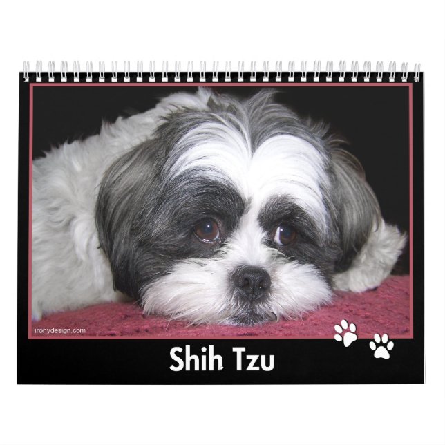 Calendário de Shih Tzu (Capa)