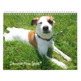 Calendário de Shinese