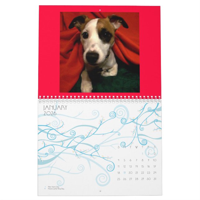 Calendário de Shinese (Jan 2026)