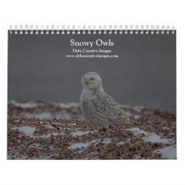 Calendário de Snowy Owl 2026