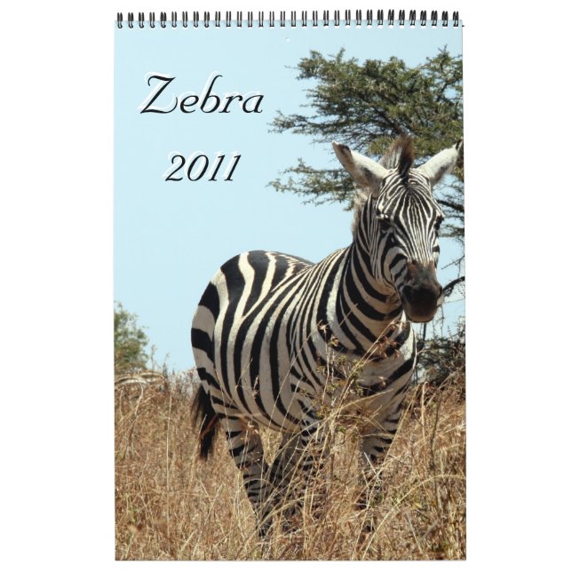 calendário de solteiros zebra 2011 (Capa)