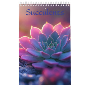 Calendário de Suculentas