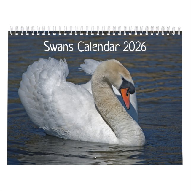 Calendário de Swans (Capa)