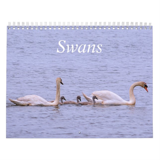Calendário de Swans (Capa)