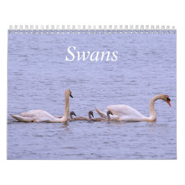 Calendário de Swans
