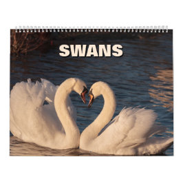 Calendário de Swans