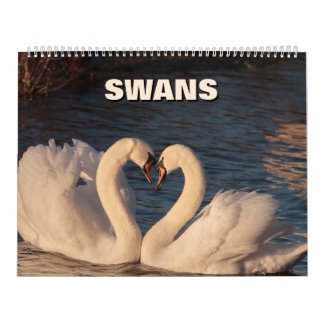 Calendário de Swans