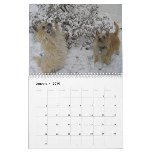 Calendário de Terrier de monte de pedras 2010
