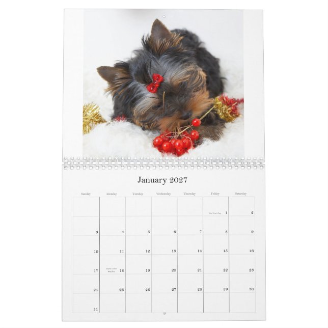 Calendário de Terrier de Yorkshire (Jan 2027)