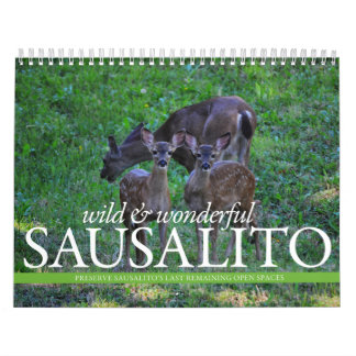 Calendário de THINKSausalito 2012