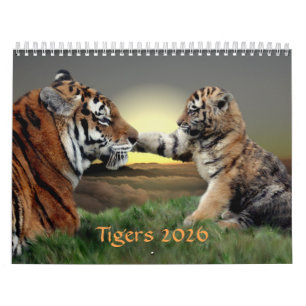 Calendário de Tigres