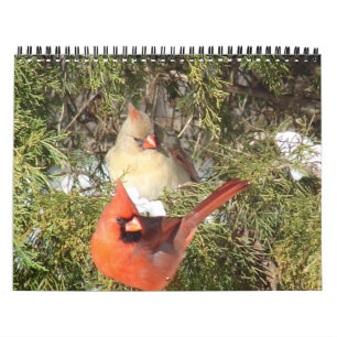Calendário de Todos os Cardinais