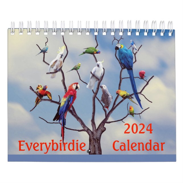 Calendário de Todos os Passarinhos 2024 (Capa)