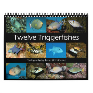 Calendário de Triggerfishes Wall por J.W. Pai.