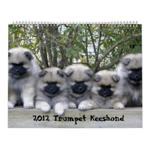 Calendário de Trumpet Keeshond 2012