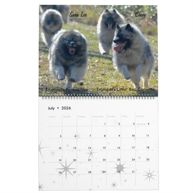 Calendário de Trumpet Keeshond 2017 (Jul 2026)