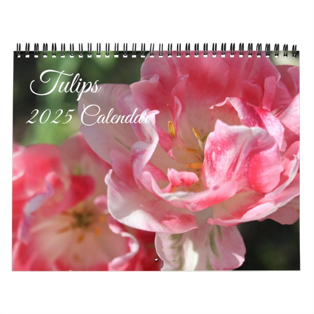 Calendário de Tulips (Capa)